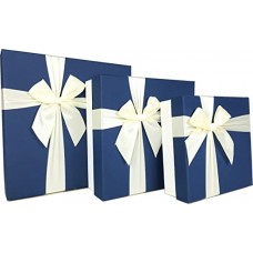 Gift Box with Ribbon, 11 inches, a Nested Set of 3 (Blue/White)