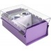 Index Business Card Size File Holder Organizer Metal Base Heavy Duty (AZ Index Cards and Divider Included) (Purple Color with Clear Crystal Plastic Lid Cover) 