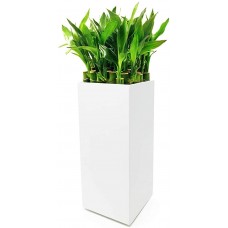 Modern Square Vase Planter 3.5" x 3.5" x 8", White With Drainage