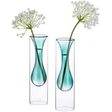Colored Glass Bud Vase, Set of 2 Double Walled Glass Vase