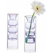 Colored Glass Bud Vase, Set of 2 Double Walled Glass Vase  Purple