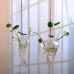  Hanging Vase Glass Planter 